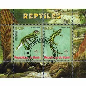 Рептилии. Бенин 2008 г. 