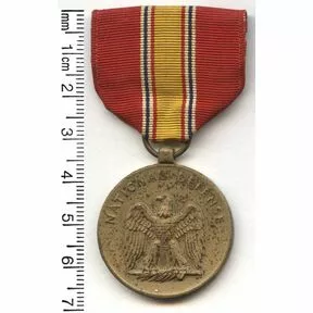 Медаль За Службу по Защите Нации