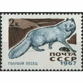 Почтовая марка 2 коп. Голубой песец из серии Пушные промысловые звери, 1967.