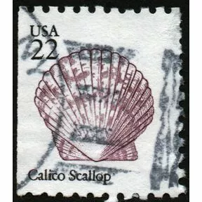 Гашеная марка Calico Scallop из серии Морские раковины, США, 1985