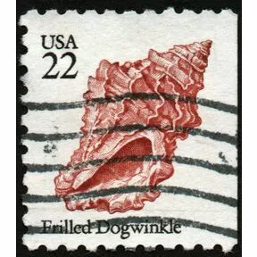 Гашеная марка Frilled Dogwinkle из серии Морские раковины, США, 1985