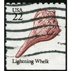 Гашеная марка Lightning Whelk из серии Морские раковины, США, 1985